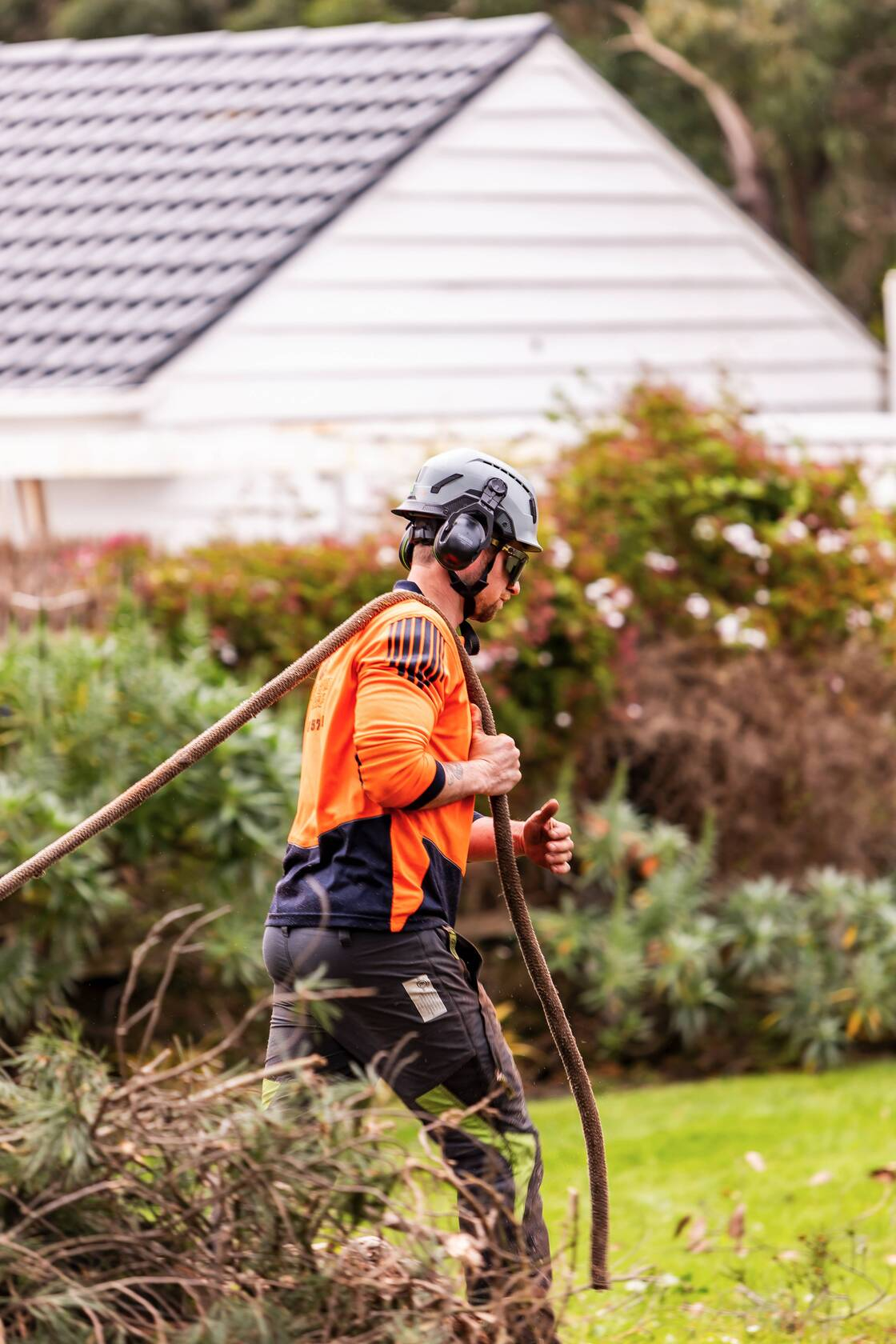 Arborists Mornington Peninsula VIC