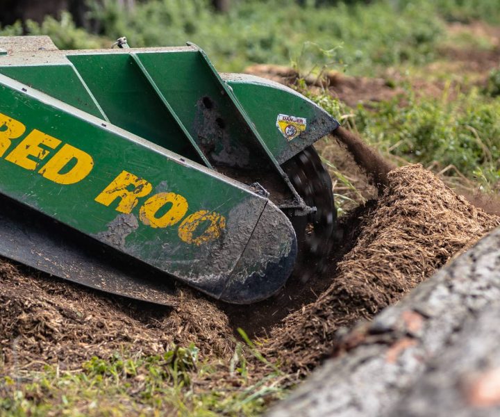 Stump grinding Mornington Peninsula