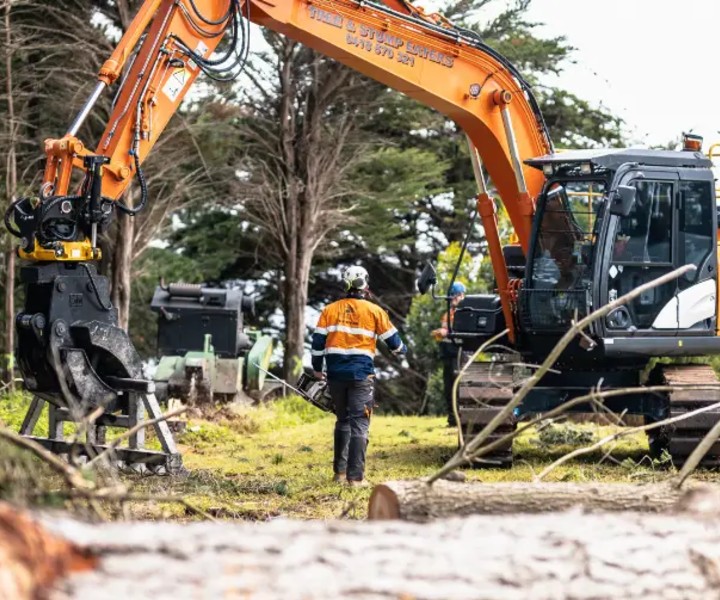 Tree service cost Mornington Peninsula