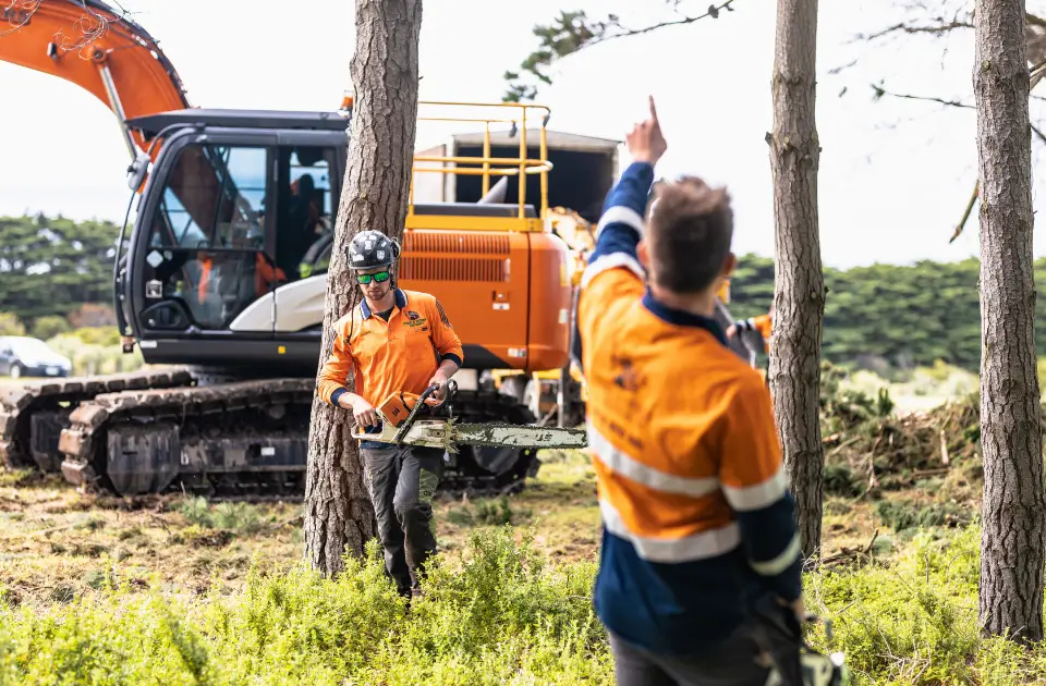tree services mornington peninsula