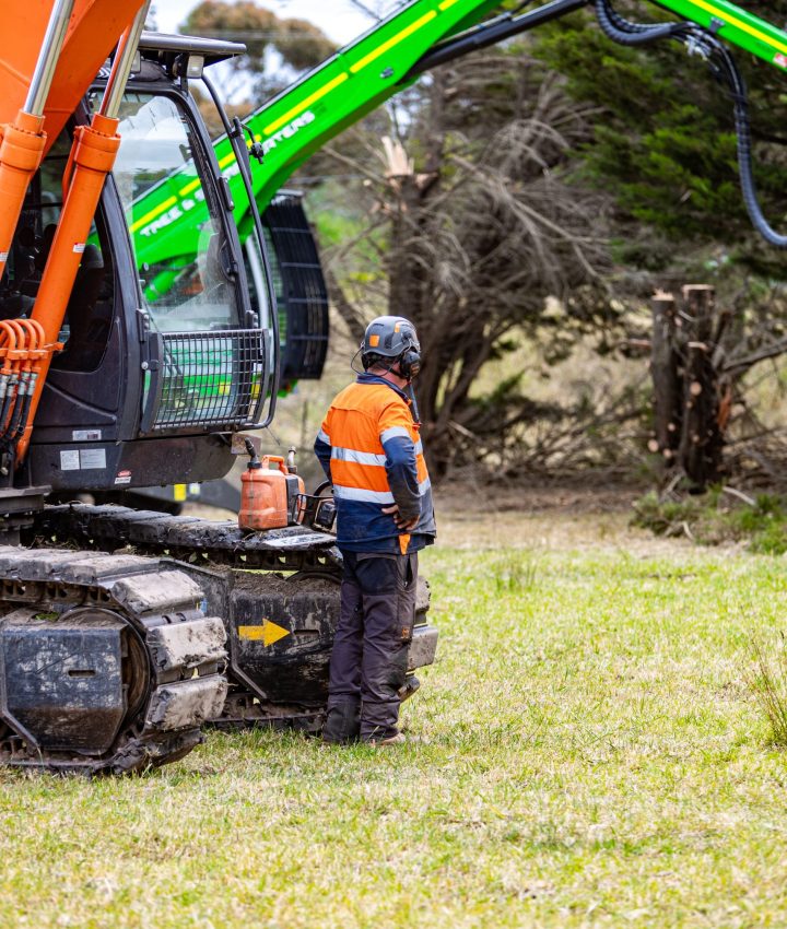 tree services rosebud