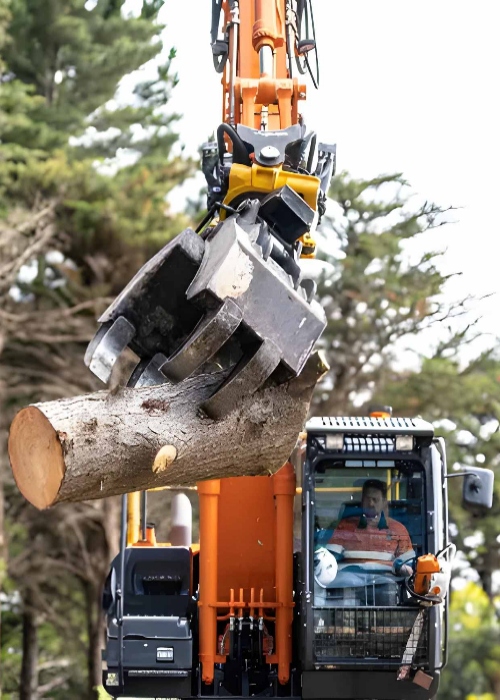 tree removal machine hastings vic