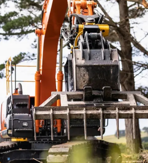 Full Scale Tree Removal Mount Eliza
