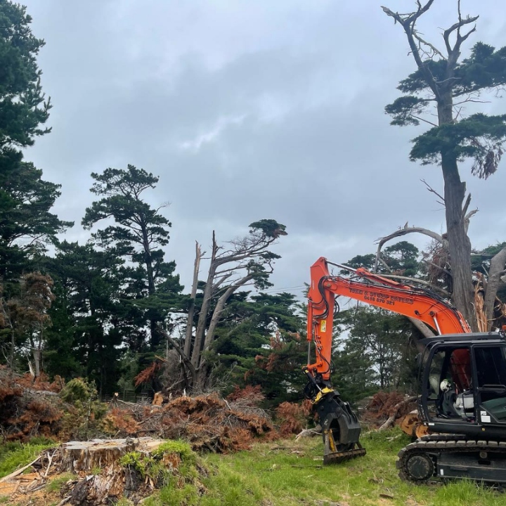 heavy duty land clearing mount eliza