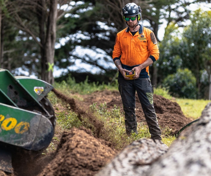 Stump grinding services in the Mornington Peninsula