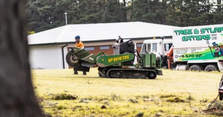 Stump grinding services in the Mornington Peninsula