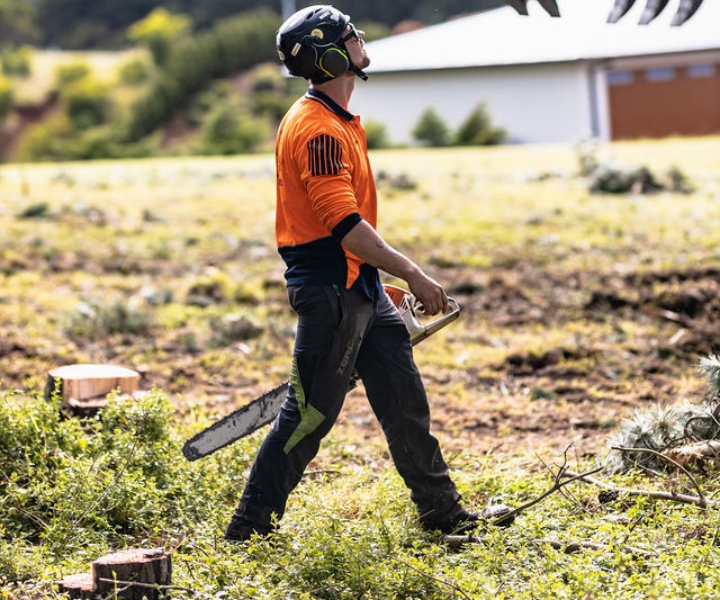 Professional stump removal services in Mount Eliza VIC
