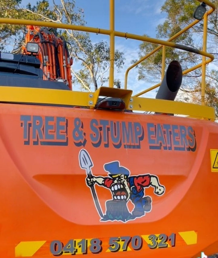 tree and stump eaters excavator service