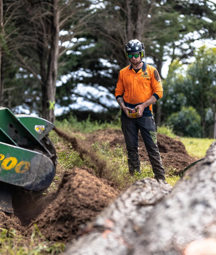 Arborist performing stump grinding services in Frankston VIC with heavy machinery