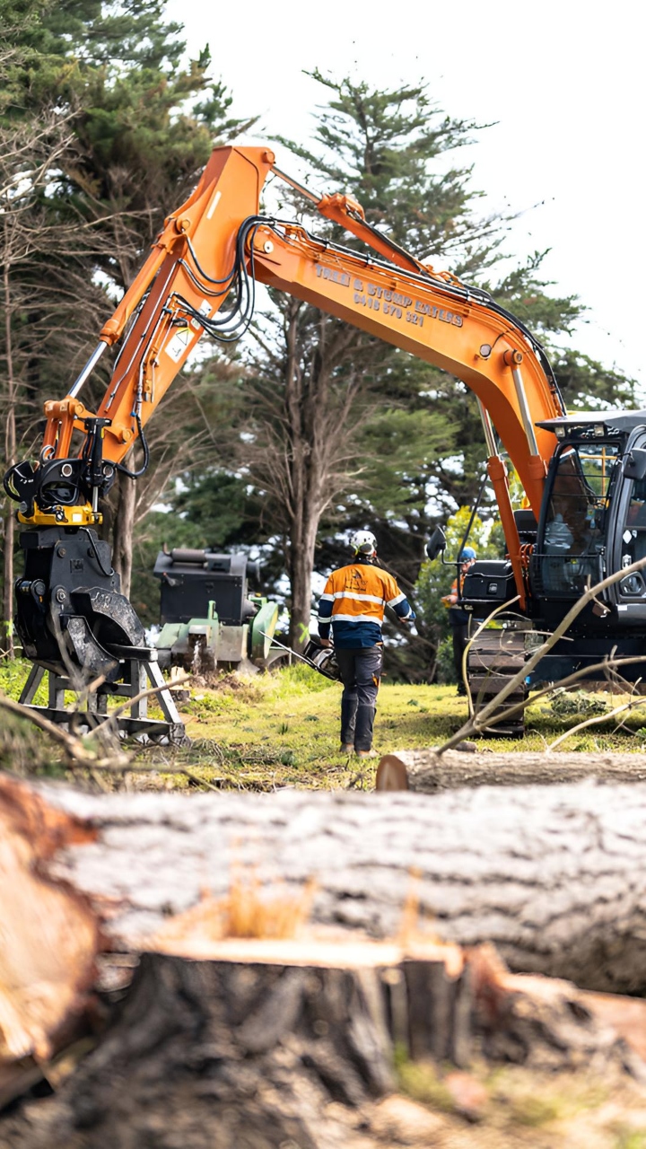 Land clearing and stump grinding Langwarrin for residential property preparation
